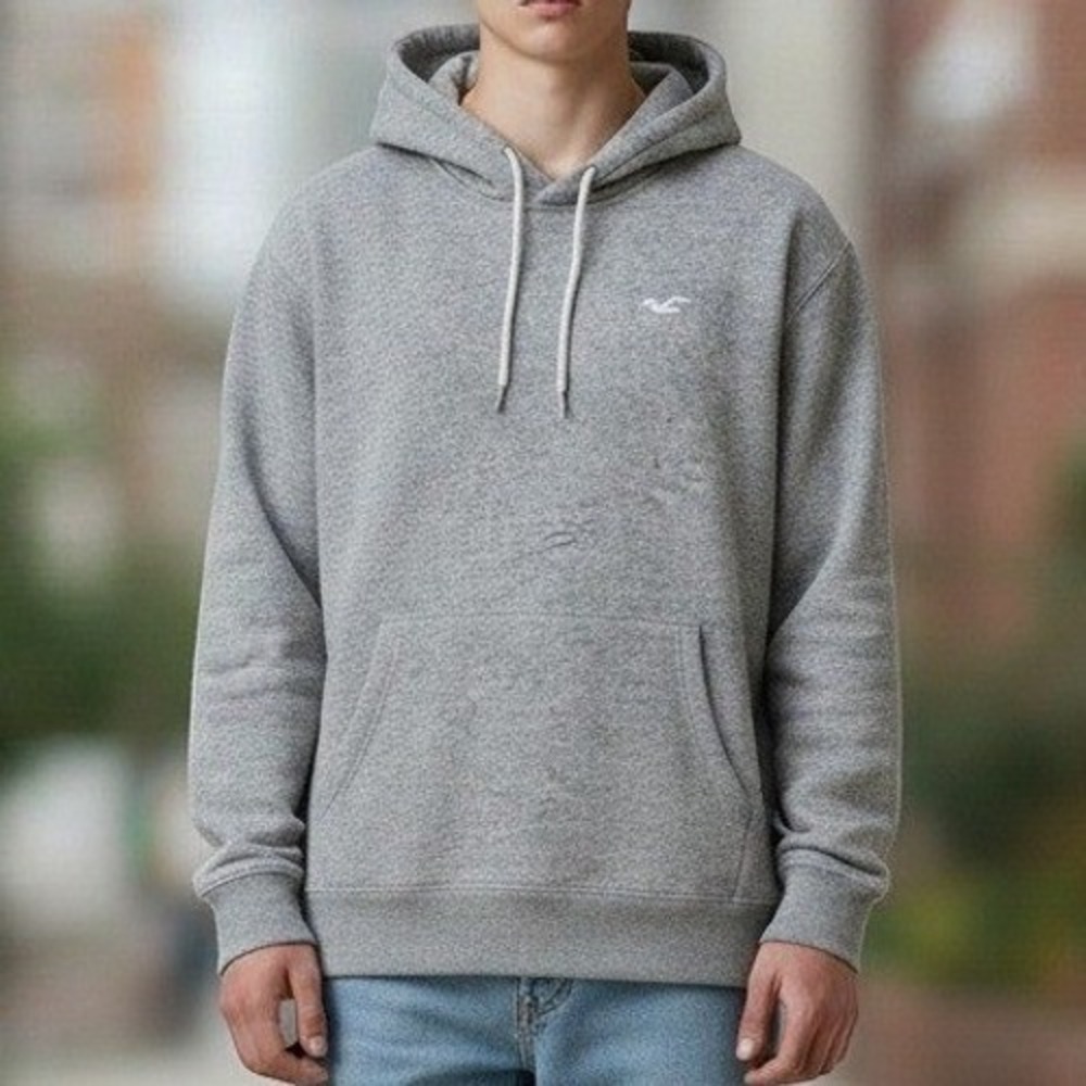 Hollister Co Mens XL Heather Grey Pullover Hoodie Seagull Logo Sweatshirt